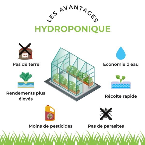 infographie avantage de la culture hydro bio weedoc